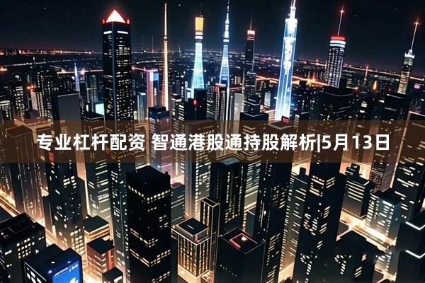 专业杠杆配资 智通港股通持股解析|5月13日