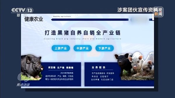 配资知识网 配资 万元认养一头猪，200天就能赚6000元？起底“云养殖”里的骗局